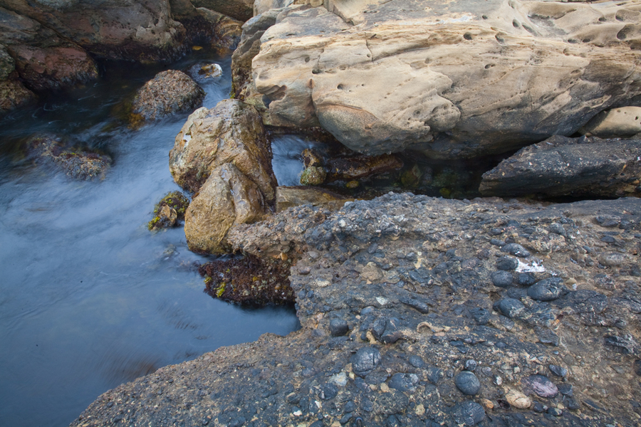  : Point Lobos : Bruno Mahlmann Photography - Washington, DC Photographer