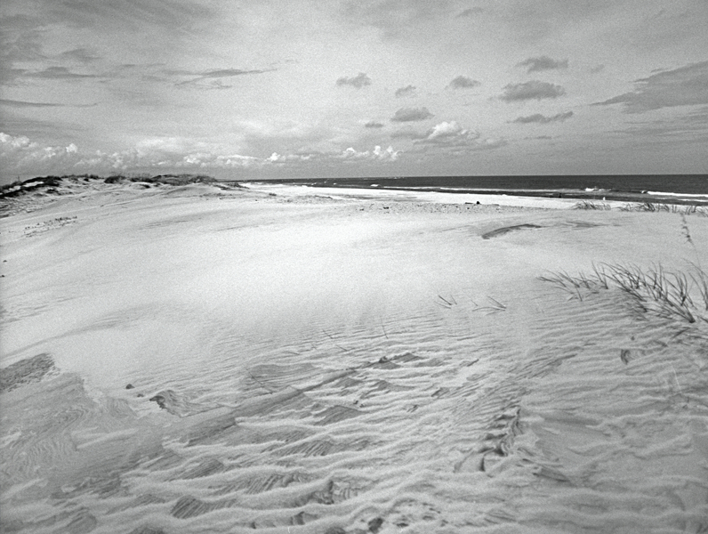 Dune 2 - Outer Banks : Landscape : Bruno Mahlmann Photography - Washington, DC Photographer