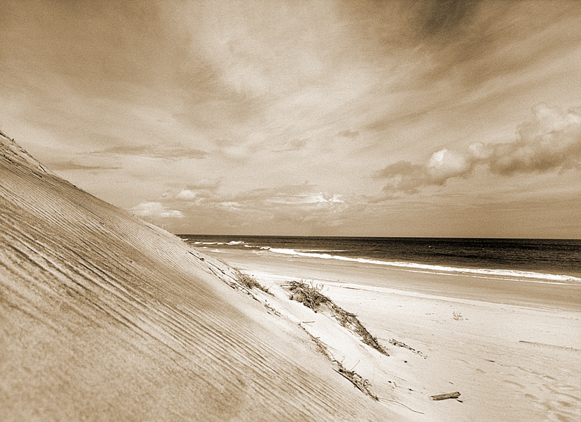Sepia Dune - Outer Banks : Landscape : Bruno Mahlmann Photography - Washington, DC Photographer